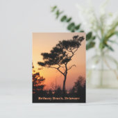 Sunset Bethany Postcard Postkarte (Stehend Vorderseite)