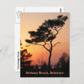 Sunset Bethany Postcard Postkarte (Vorne/Hinten)