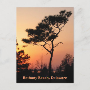 Sunset Bethany Postcard Postkarte