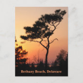 Sunset Bethany Postcard Postkarte (Vorderseite)