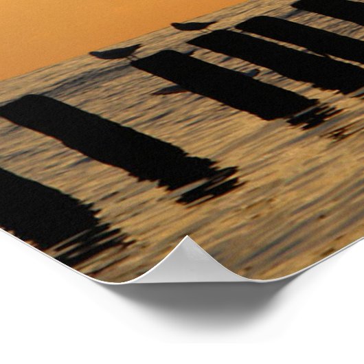 Sunset Birds Florida Print Poster (Ecke)