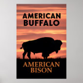 Sunset Bison Silhouette Poster (Vorne)