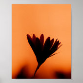 Sunset Bloom: The Silhouette of Dusk Poster (Vorne)