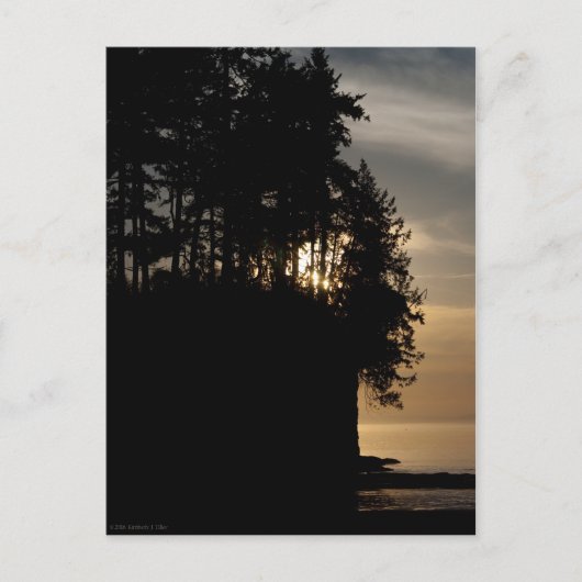 Sunset Bluff Postkarte (Vorderseite)