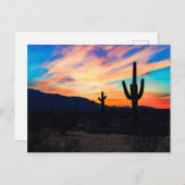 Sunset Cactus Desert Dusk Postkarte (Vorne/Hinten)