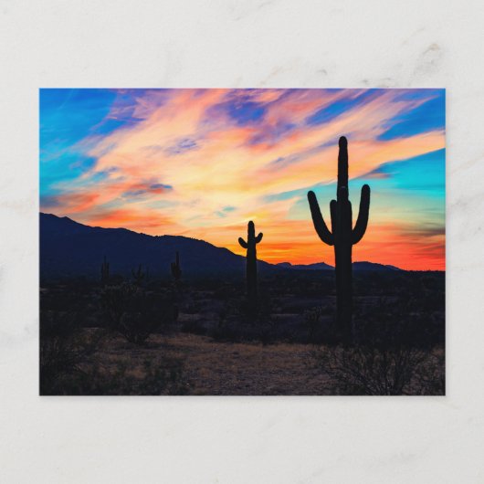 Sunset Cactus Desert Dusk Postkarte (Vorderseite)