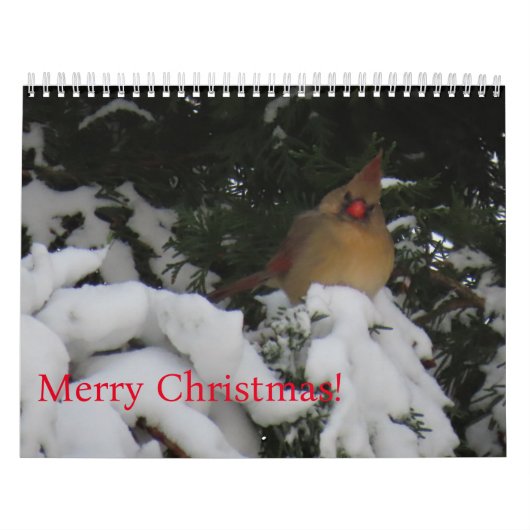 Sunset Calendar 2025 Kalender (Titelbild)