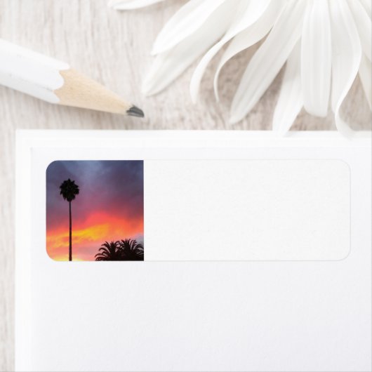 Sunset California (Insitu)