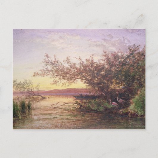 Sunset, Camargue Postkarte (Vorderseite)