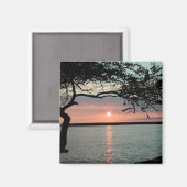 Sunset Carmel, Ca. Magnet (Vorderseite/Rückseite)