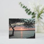 Sunset Carmel, Ca. Postkarte (Stehend Vorderseite)