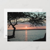 Sunset Carmel, Ca. Postkarte (Vorne/Hinten)