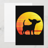 Sunset Chihuahua Ankündigung (Vorne/Hinten)