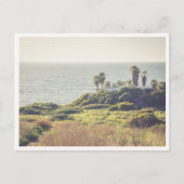 Sunset Cliffs Point Loma San Diego Palmen Postkarte (Vorderseite)