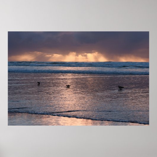 Sunset Coast Beach Birds Nature Foto Poster (Vorne)
