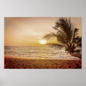 Sunset Coconut Palm on the Beach Poster (Vorne)