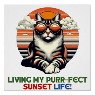 Sunset Cool Cat Poster