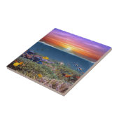 Sunset Coral Reef Fliese (Seite)