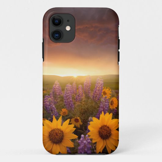 Sunset Daisies Case-Mate iPhone Hülle (Rückseite)