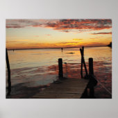 Sunset Delphins Poster (Vorne)