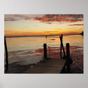 Sunset Delphins Poster