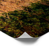 Sunset Diesel Lokomotive Train 32"x24" Poster (Ecke)