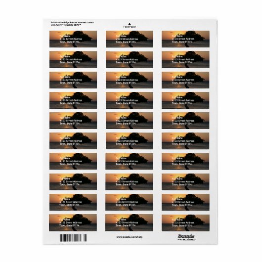 Sunset Divi Divi Tree (Vorne)