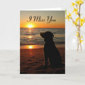 Sunset Dog on Beach - Miss You Card Karte (Gelbe Blume)