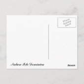 Sunset Dominica Nature Isle Postkarte (Rückseite)