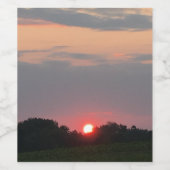 Sunset Drink Labels Weinetikett (Einzelnes Label)