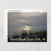 Sunset Dune Grass IBSP Postkarte (Vorne/Hinten)