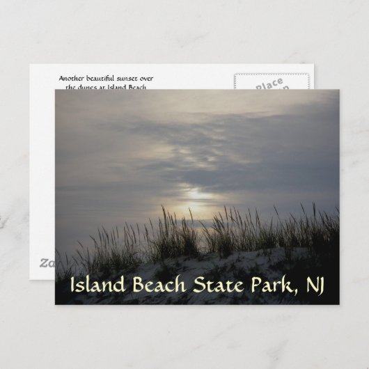 Sunset Dune Grass IBSP Postkarte (Vorne/Hinten)