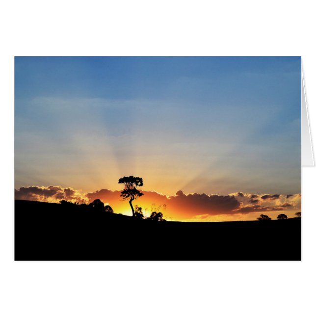 Sunset Farm Londrina (Vorderseite (Horizontal))