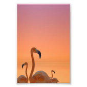 Sunset Flamingo Tropical Poster (Vorne)