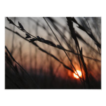 Sunset Foto Kodak Berufliches Foto