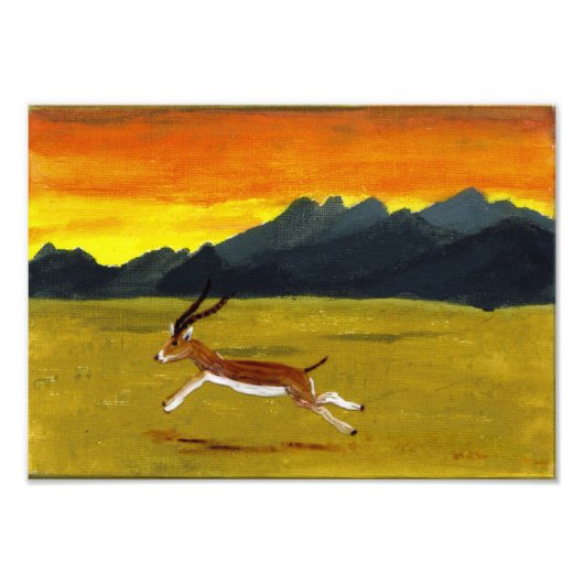 Sunset Gazelle Art Fotodruck (Vorne)