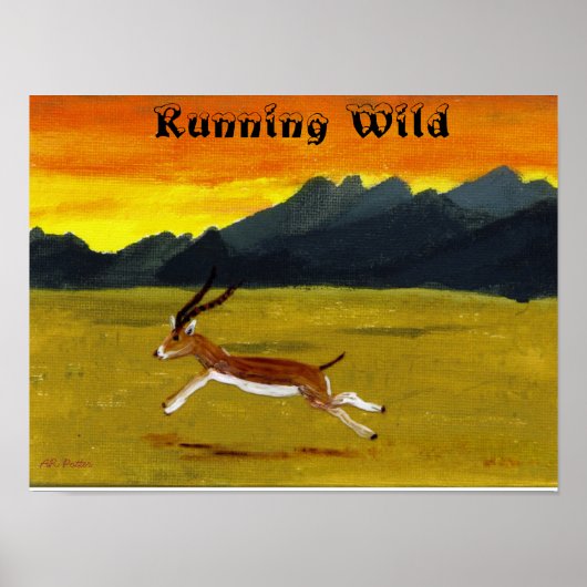Sunset Gazelle Running Wild Animal Poster (Vorne)