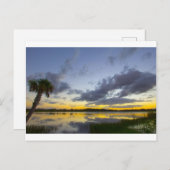Sunset, George LeStrange Preserve, Fort Pierce, FL Postkarte (Vorne/Hinten)