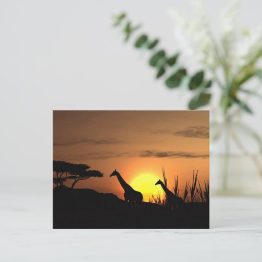 "Sunset Giraffe Silhouette" Postkarte (Stehend Vorderseite)