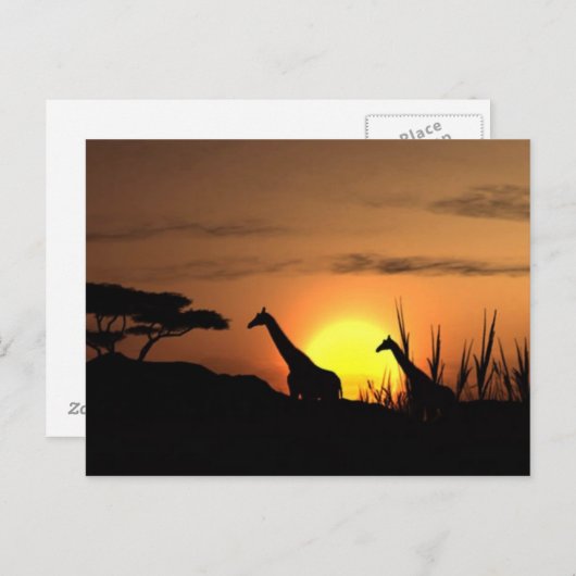 "Sunset Giraffe Silhouette" Postkarte (Vorne/Hinten)