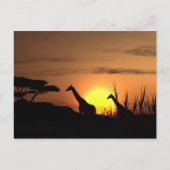 "Sunset Giraffe Silhouette" Postkarte (Vorderseite)