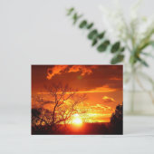 Sunset Glory Postcard Postkarte (Stehend Vorderseite)