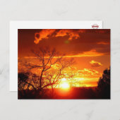 Sunset Glory Postcard Postkarte (Vorne/Hinten)