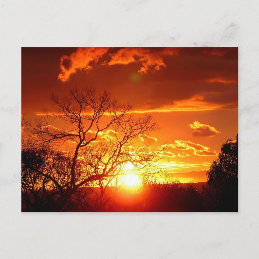 Sunset Glory Postcard Postkarte (Vorderseite)