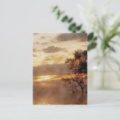 Sunset Glory Postcard Postkarte (Stehend Vorderseite)