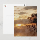 Sunset Glory Postcard Postkarte (Vorne/Hinten)