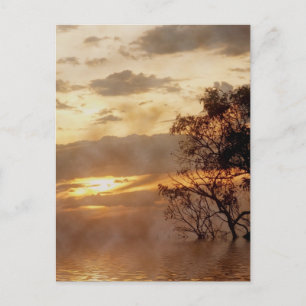 Sunset Glory Postcard Postkarte