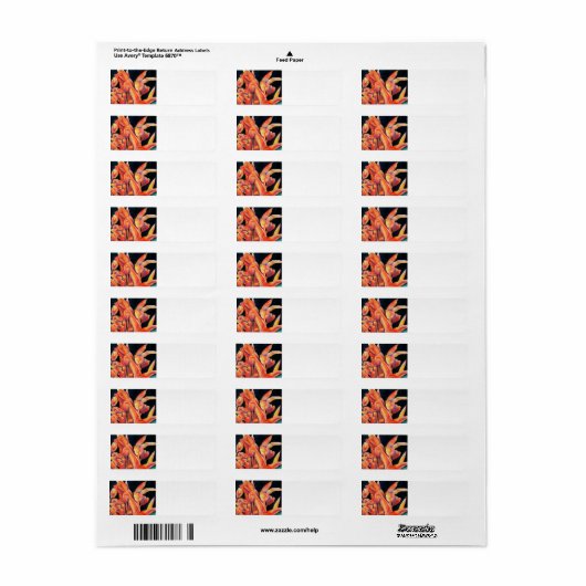 Sunset Hues Tulips Rücksendeadresse (Vorne)