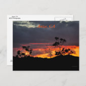 Sunset in Anza, CA Postkarte (Vorne/Hinten)