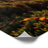 Sunset in Cabo de Roca Poster (Ecke)